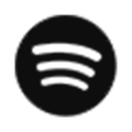 Luis Leite no Spotify